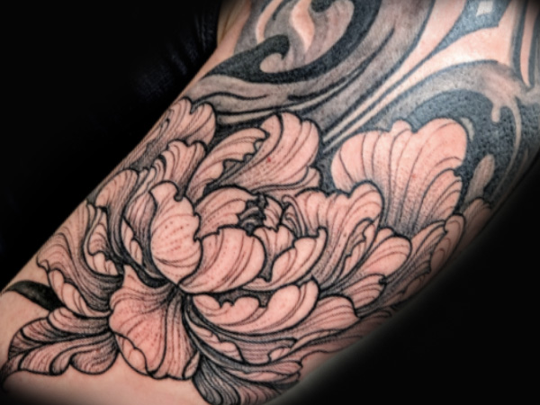 Fineline Tattoo Detail bei Tiba Tattoo Berlin